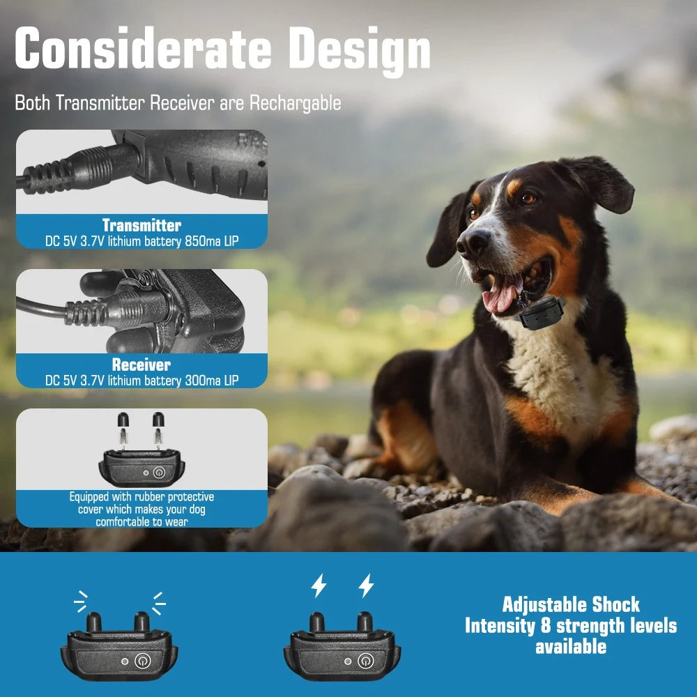 Wireless dog fence