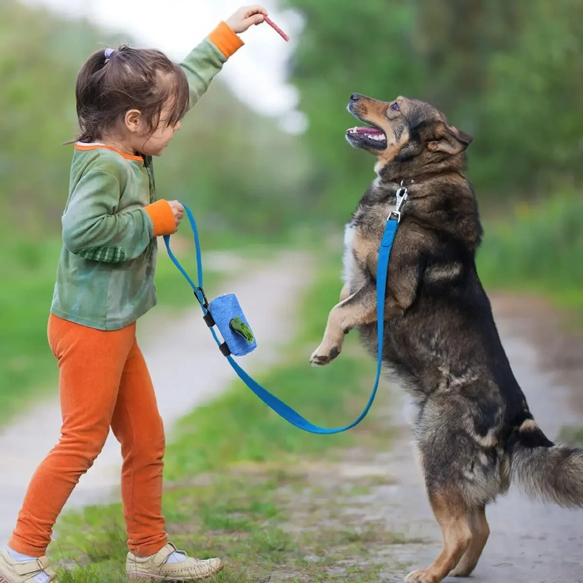 Dog Poop Bag Dispenser Storage Bag