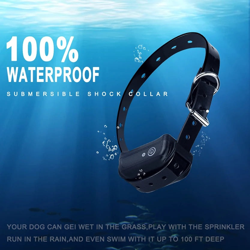 Wireless dog fence